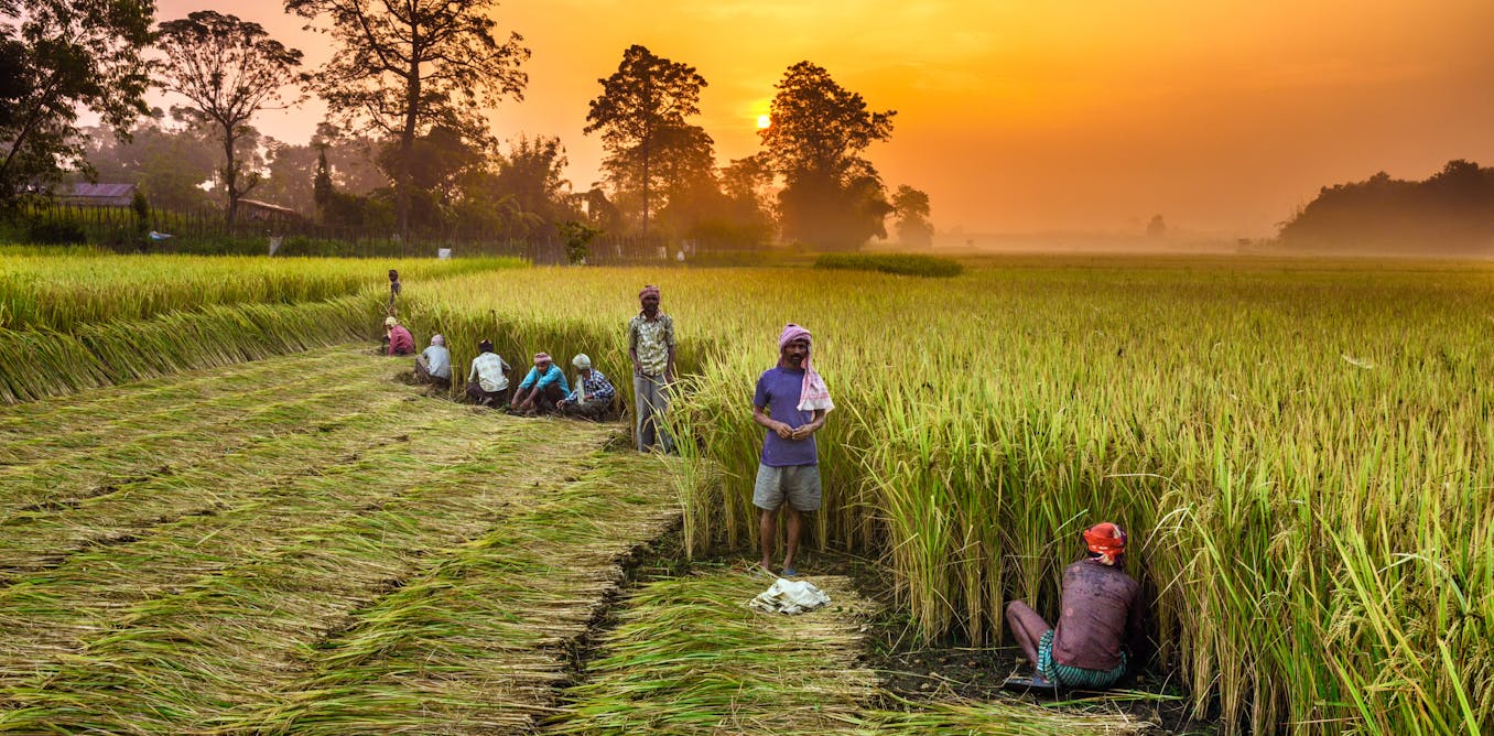 After covid-19, nations can tackle environmental crises by shifting priorities to sustainable development