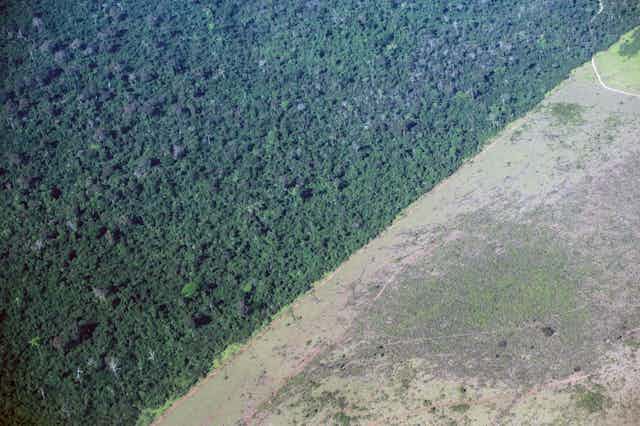 Aerial view of the  deforested edge of the Amazon rainforest