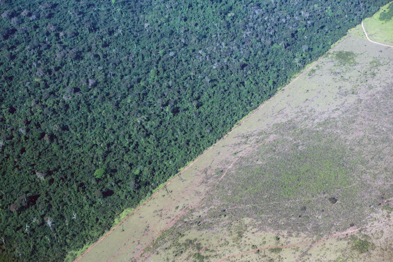Aerial view of the deforested edge of the Amazon rainforest