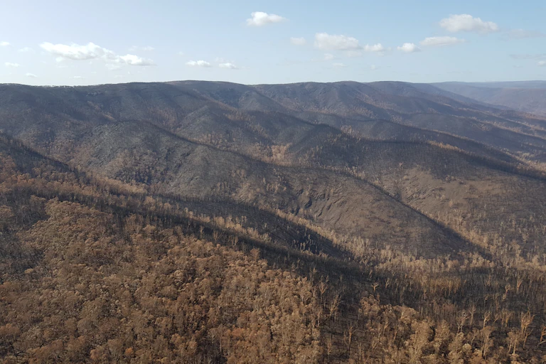 Landscape burnt by bushfire