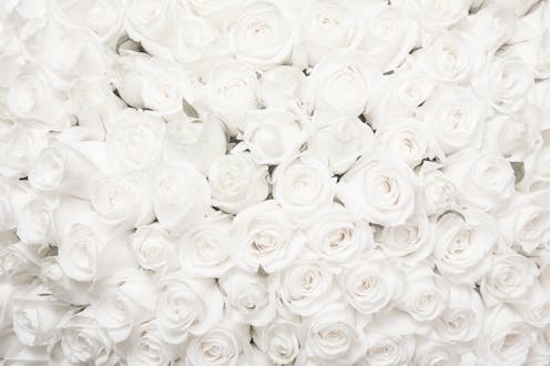 Entre el pasado lunes 2 de marzo y el domingo 24 de mayo murieron en España 143 697 personas. Normalmente mueren 93 759 personas en ese periodo de tiempo. Hay un exceso de 49 938 personas fallecidas; 1 055 personas por cada millón de habitantes. El único homenaje que puedo rendir a cuantos fallecieron esta primavera es haberlos contado y explicarles cómo se hace esa cuenta; porqué 50 000 y no cualquier otro número.