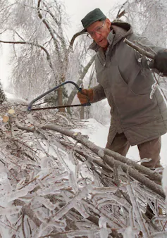Older man wearing a parka and a hat using a bow saw to clear ice-covered fallen branches