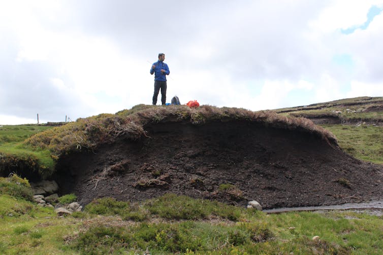 The author stood on a large bank of excavated peat.