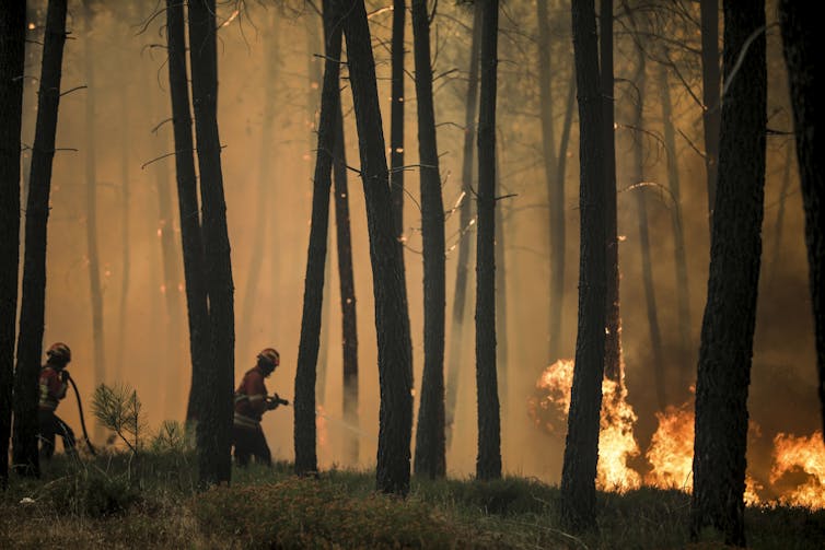 Two firefighters confront a forest fire in Portugal.
