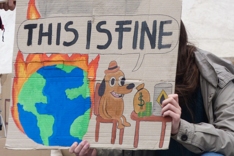 A protester holds a sign depicting a meme in which a cartoon dog is surrounded by fire and says 'this is fine'.