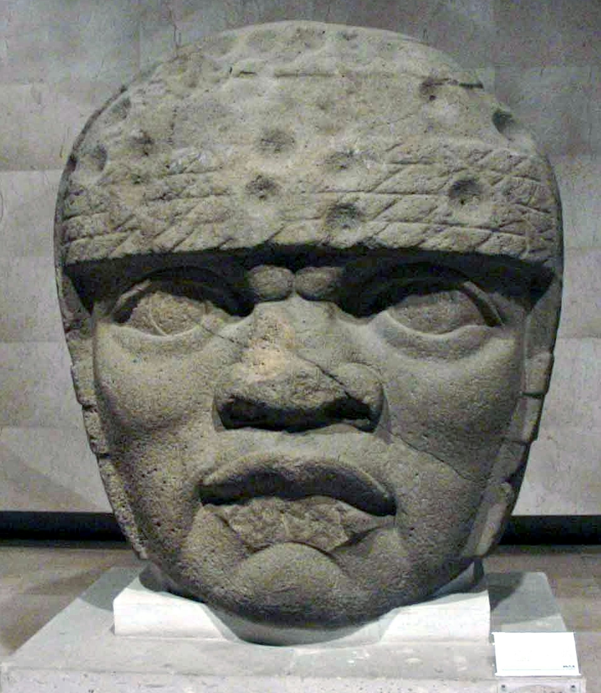 olmec carved stone heads on display in us