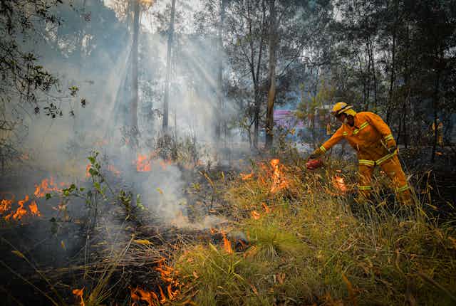 A CFA strike team member carries out a controlled burn in bushland.