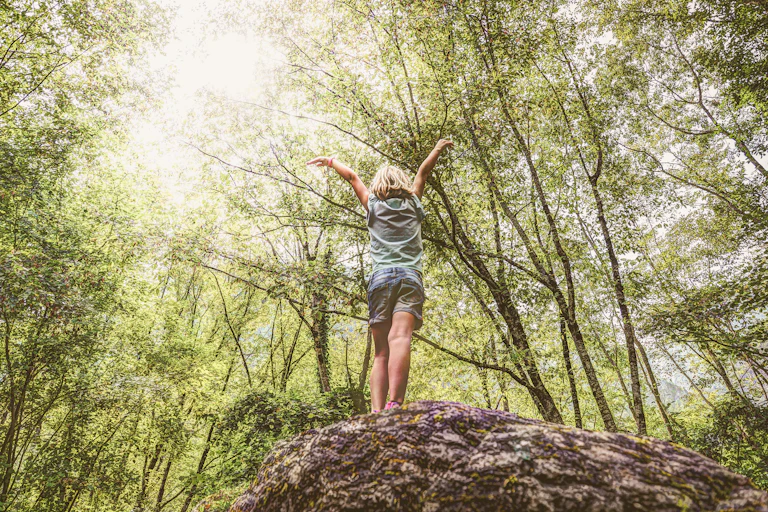 Child on top of log under canopy of trees.