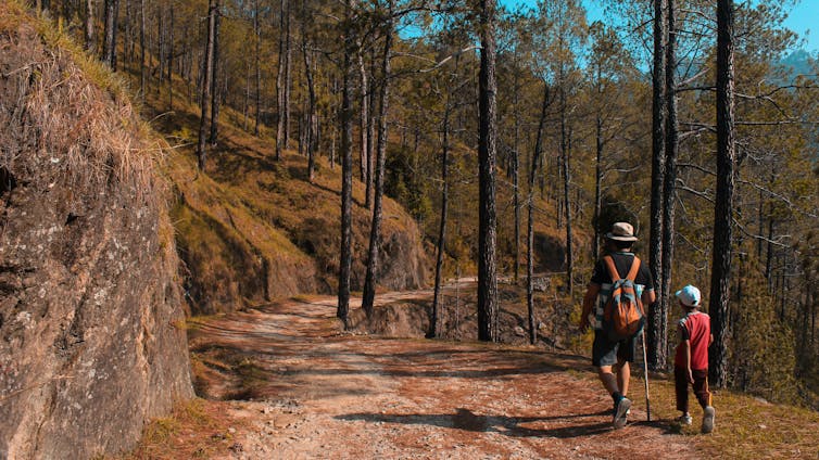 Man and son walking through woodland.