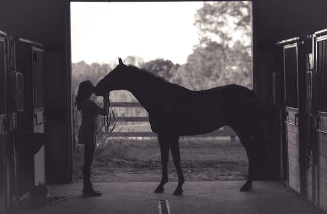 Woman kissing a horse in a stable