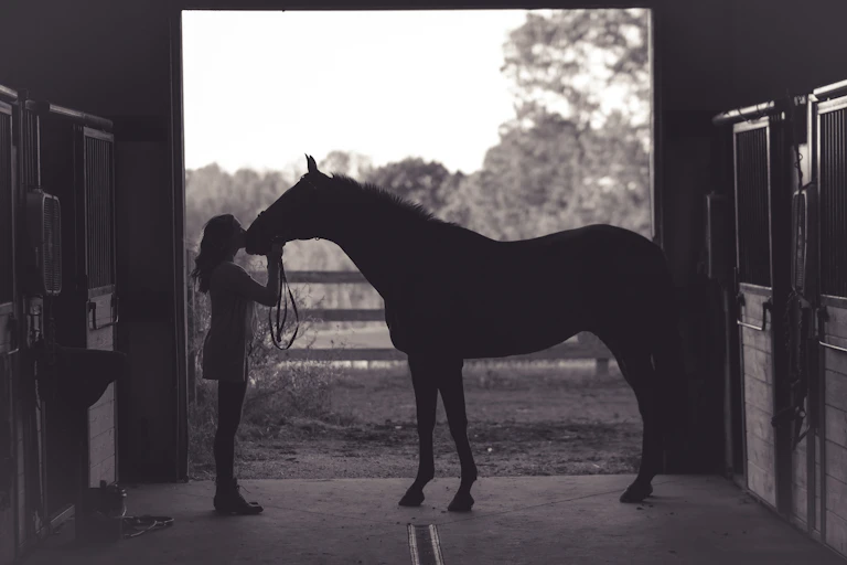 Woman kissing a horse in a stable