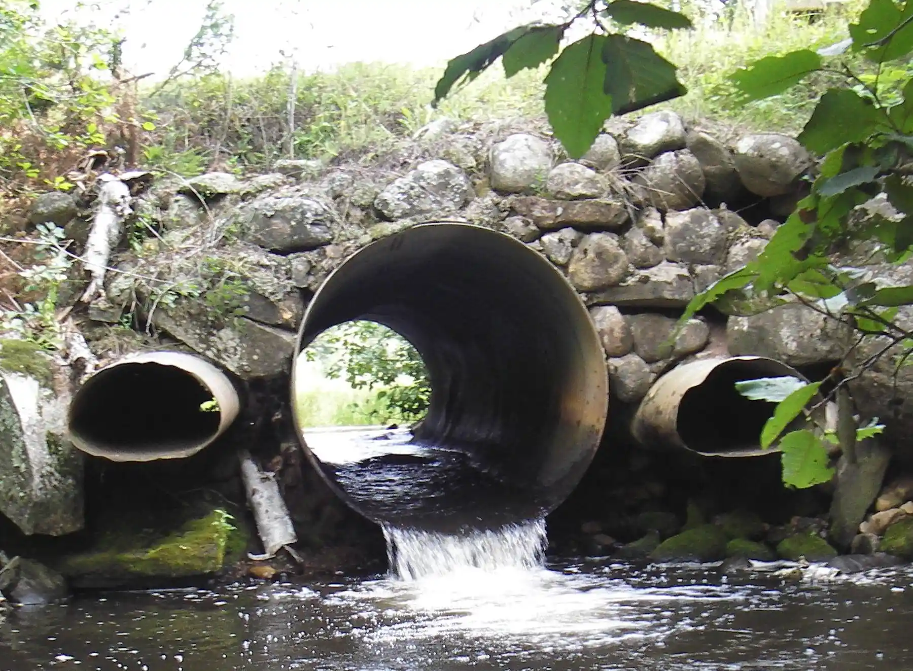 Fish Culvertds Culverts – the major threat to fish you’ve probably never heard of