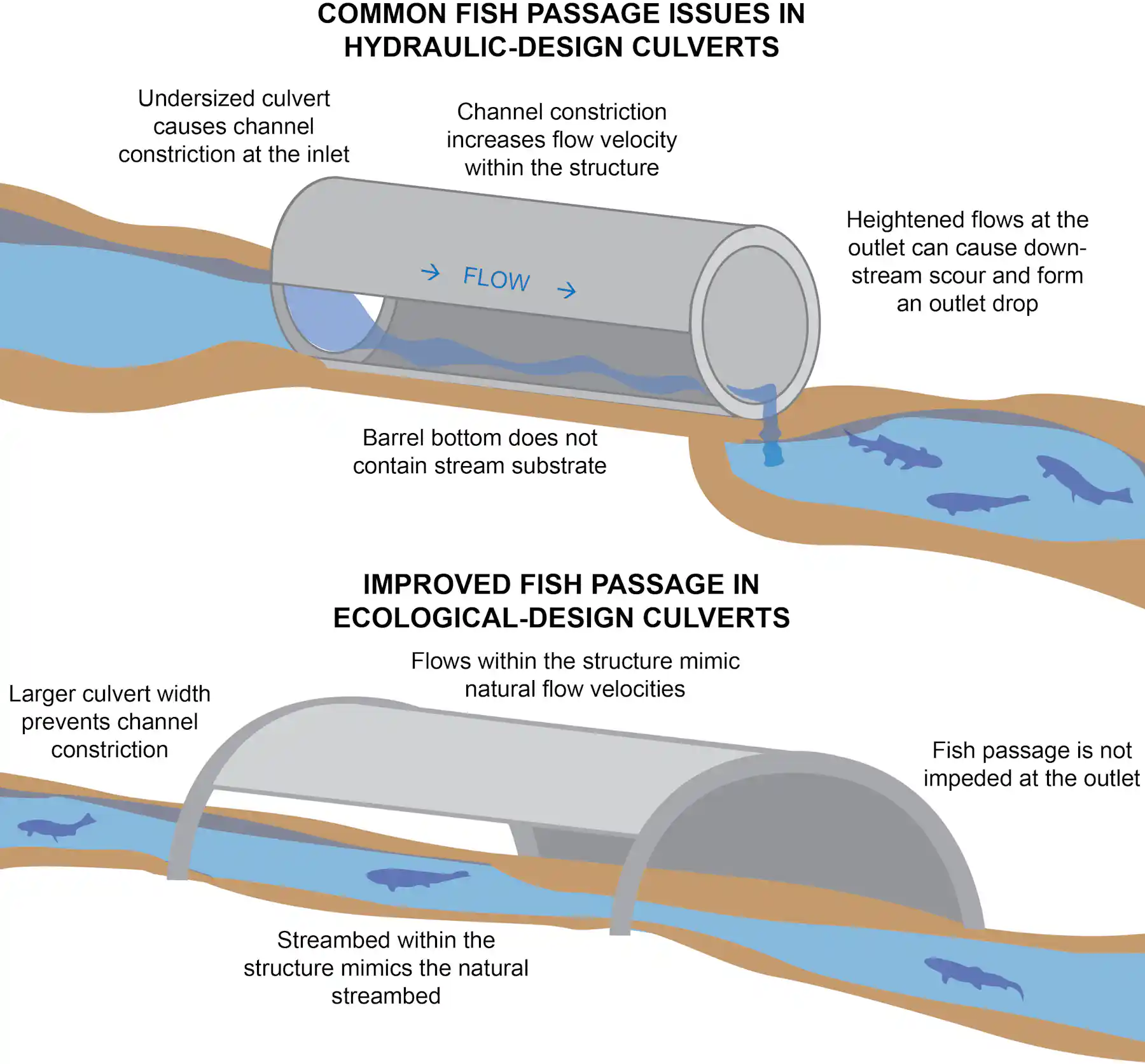 Fish Culvertds Culverts – the major threat to fish you’ve probably never heard of
