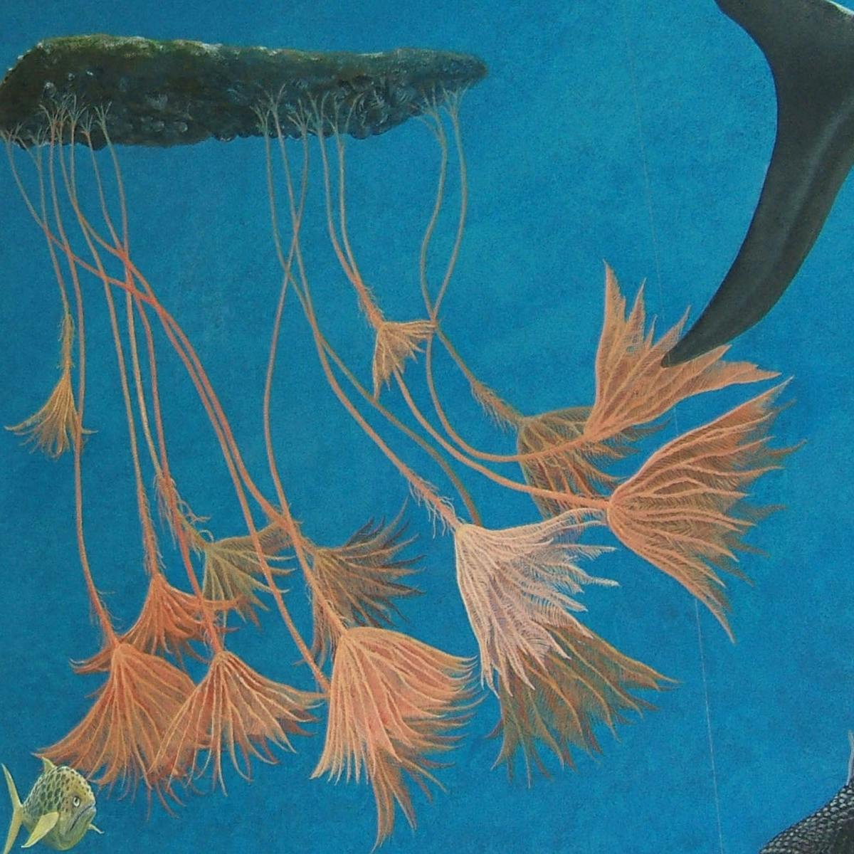 ancient sea creatures spent years