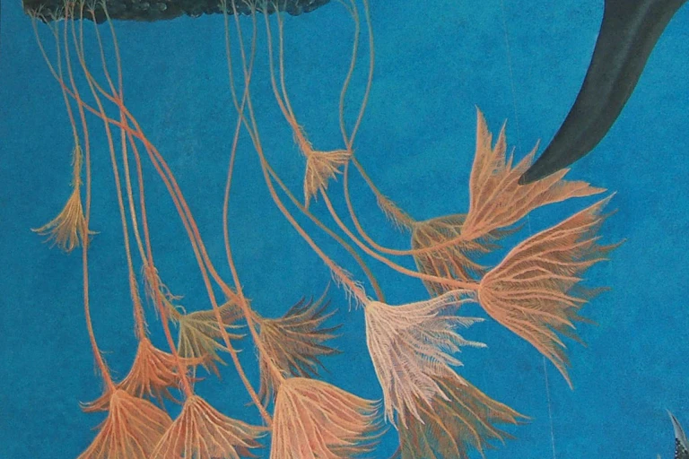 Crinoids growing underwater from raft