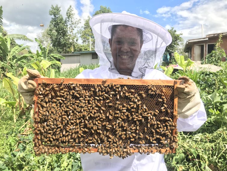 Man holds up section from beehive