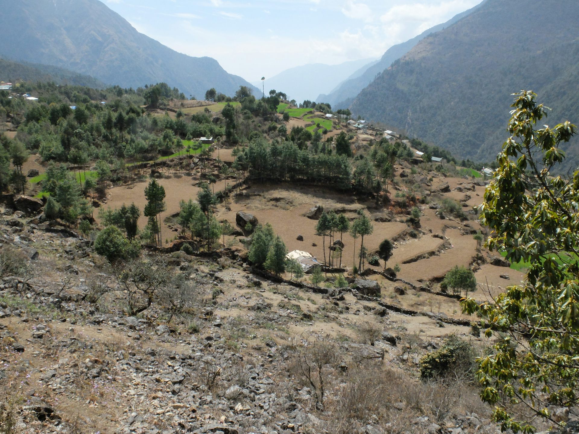 Dry paddy fields in Nepal