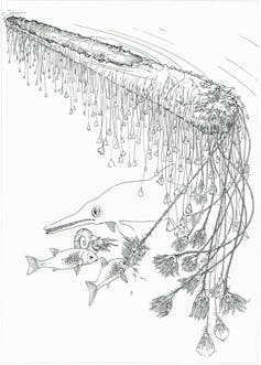 Line drawing of crinoids hanging from log with fish.