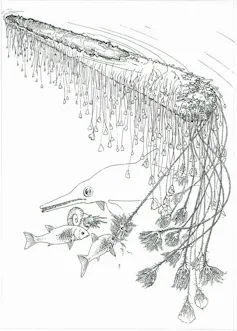Line drawing of crinoids hanging from log with fish.
