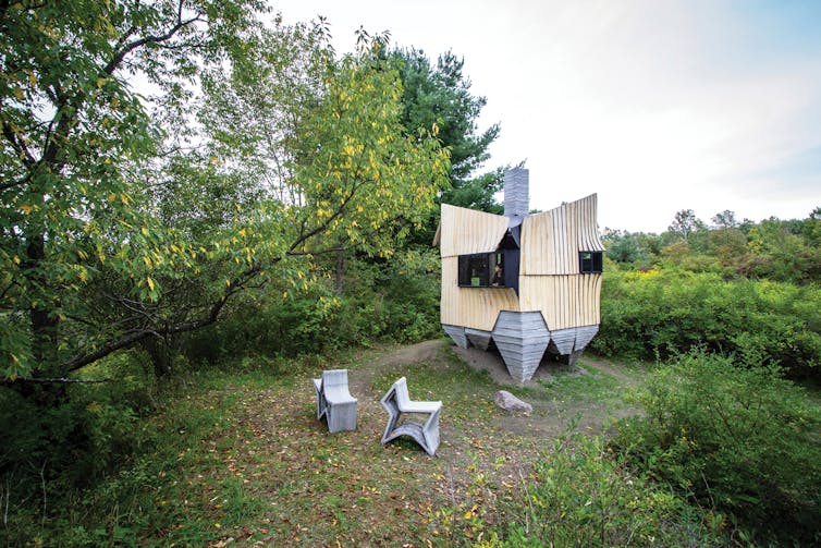 An irregularly shaped cabin in the woods built using infested ash trees.