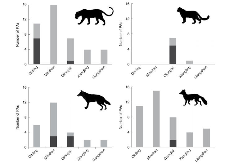 Four graphs showing where four large carnivores still exist in protected areas throughout the giant panda's range.