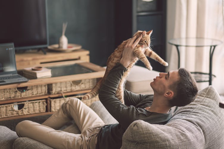Owner playing with cat while relaxing on modern couch in living room interior.