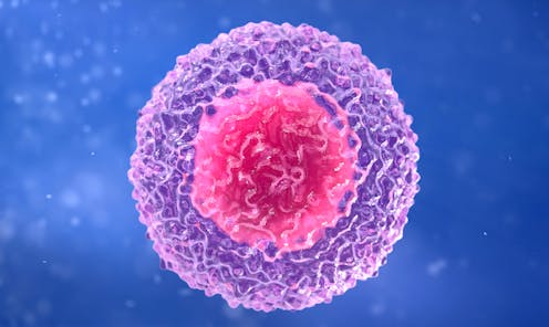 Células T al rescate: mucho más que anticuerpos en la inmunidad contra COVID-19