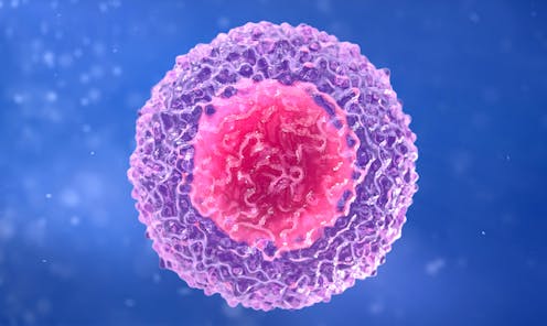 cells T