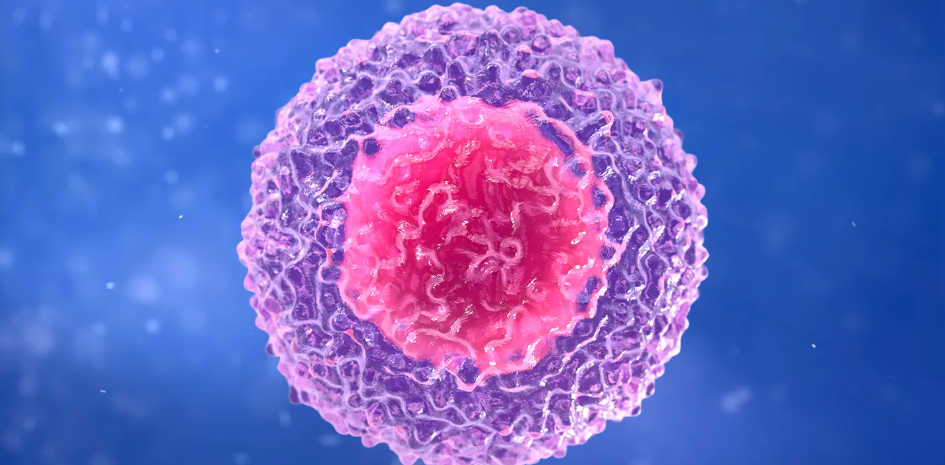 Células T al rescate: mucho más que anticuerpos en la ...