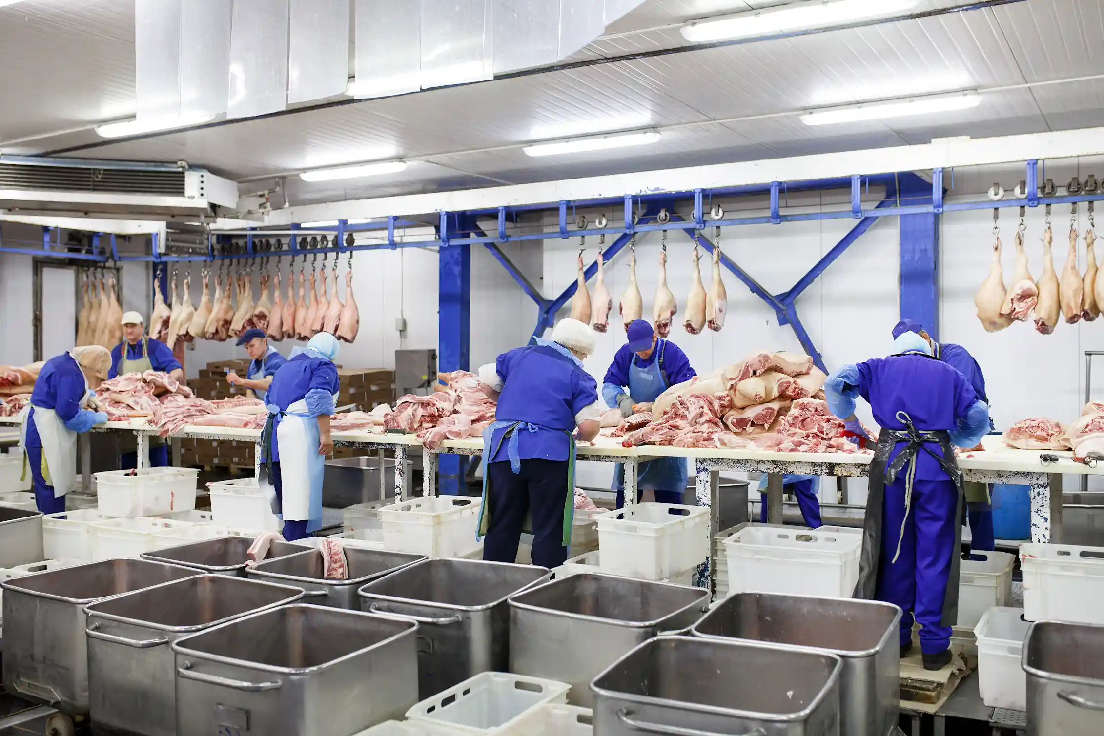 What Victoria’s abattoir rules mean for the supply and price of meat