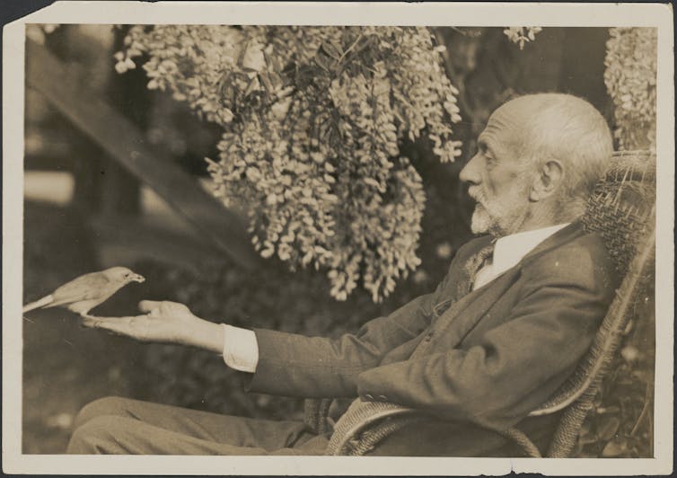 Harry Wolstenholme holding a bird in front of him in his garden in Sydney