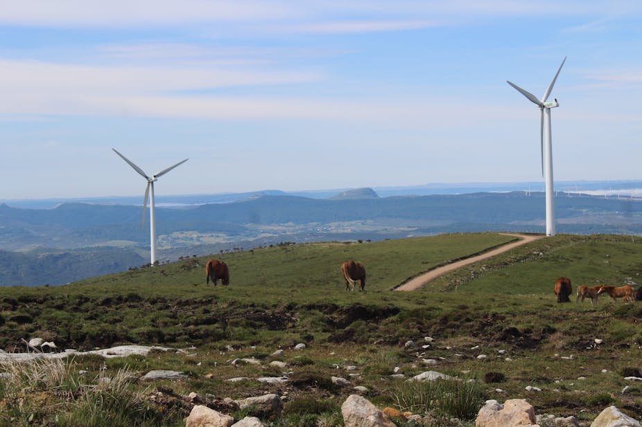 A green hill with two wind turbines and five brown horses.