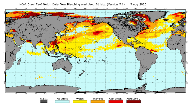 Map of global sea surface temperatures, color coded to show bleaching risks.