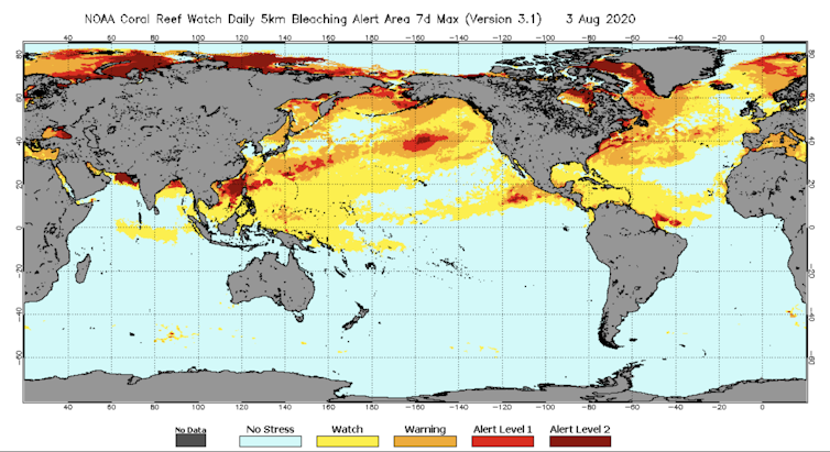 Map of global sea surface temperatures, color coded to show bleaching risks.