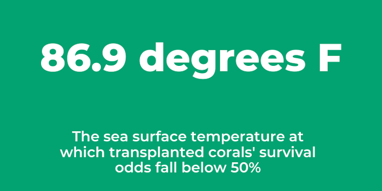 Graphic stating that at 86.9 degrees Fahrenheit, the chance of transplanted corals surviving falls below 50%