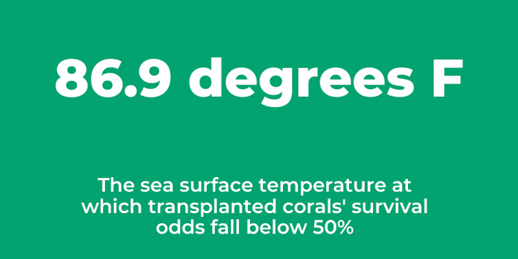 Ocean warming threatens coral reefs and soon could make it harder to restore them