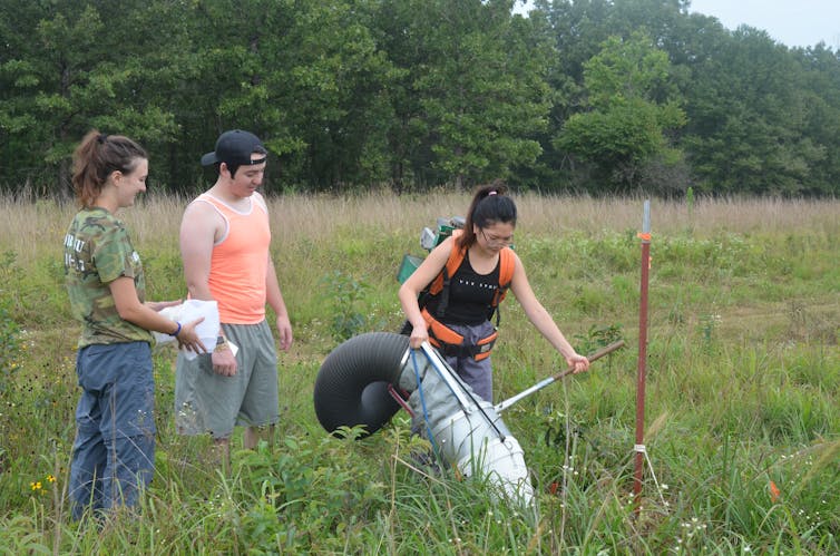 Three college students in field collecting insects with a large tube