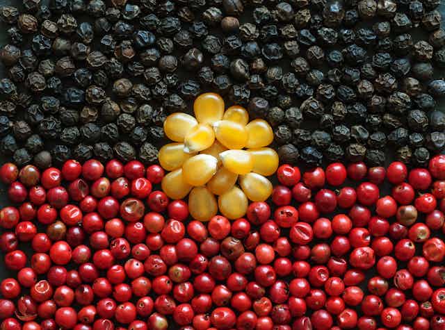 Berries and fruits in shape and colours of Aboriginal flag
