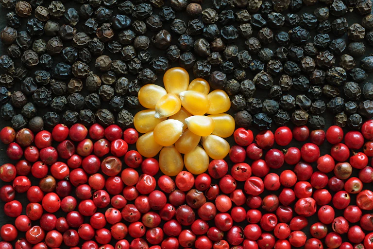 Berries and fruits in shape and colours of Aboriginal flag