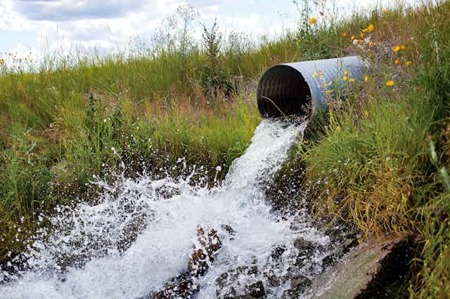 A corrugated metal tunnel embedded in a grass bank spews water.