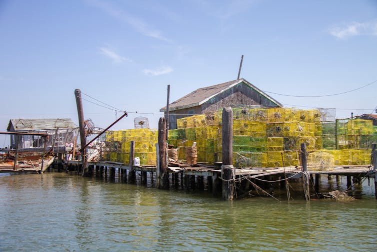 Yellow crates stacked high on a dock