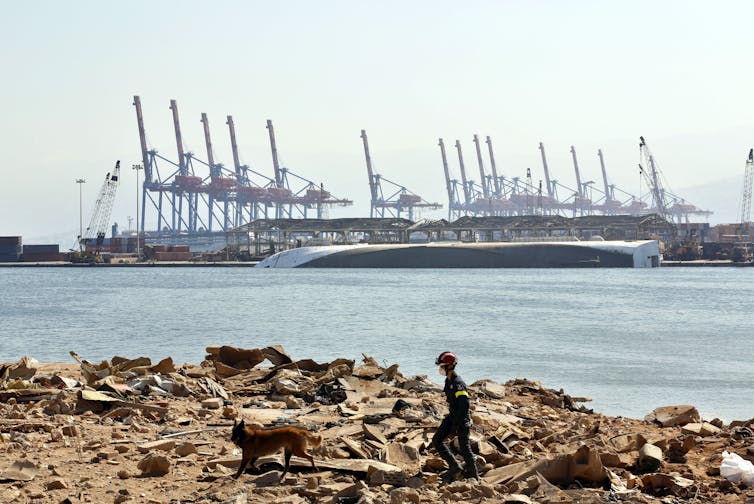 A rescue team worker and dog walking on rubble with the port in the background