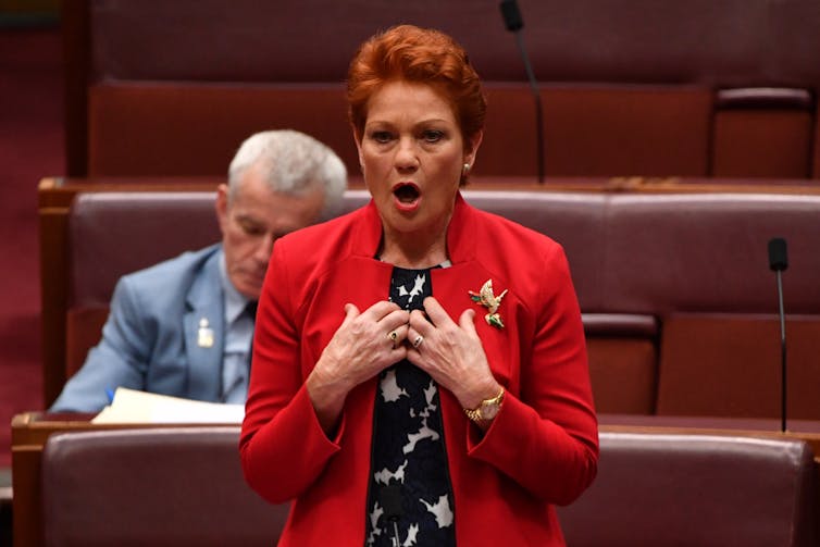 Pauline Hanson in the Senate