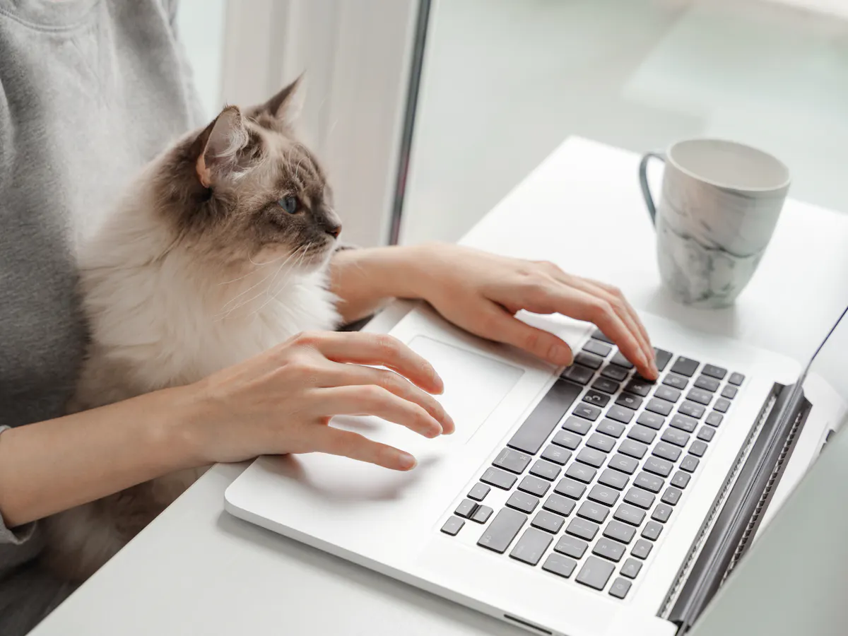 Slow To Adjust To The Pandemic S New Normal Don T Worry Your Brain S Just Learning New Skills