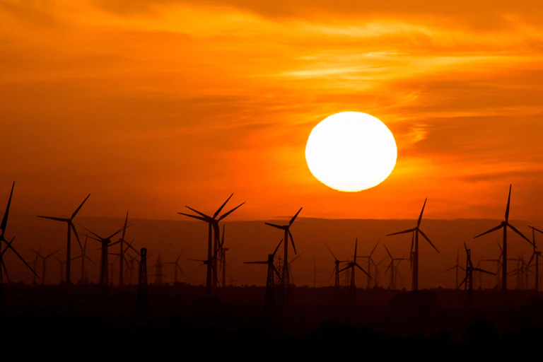 Hundreds of wind turbines along the horizon, under a setting sun.