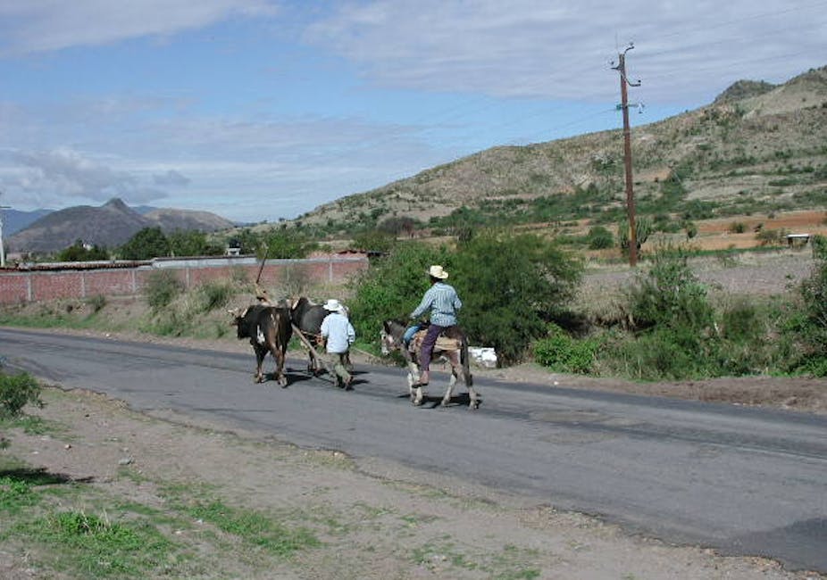 Farmers walk with horses on a rural road with mountains in background