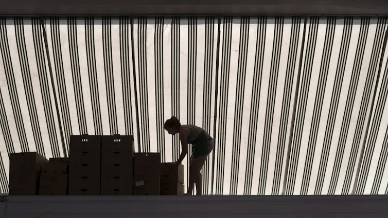 A woman bends to arrange boxes in a kiosk at a farmer's market.