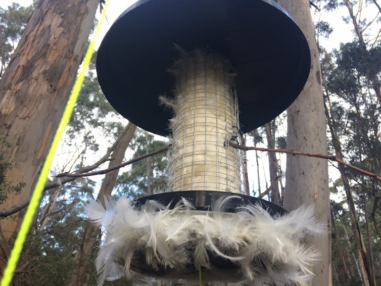 A feather dispenser built by the authors.