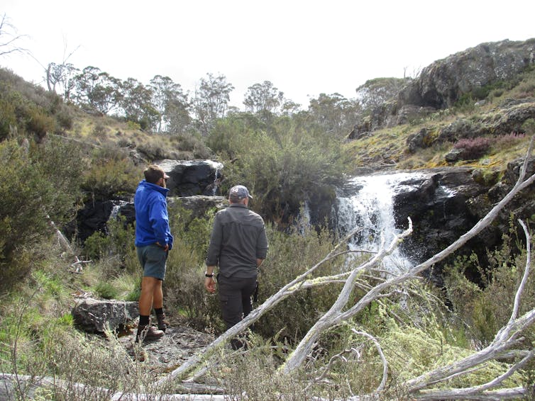 Two researchers face a waterfall surounded by bushland.