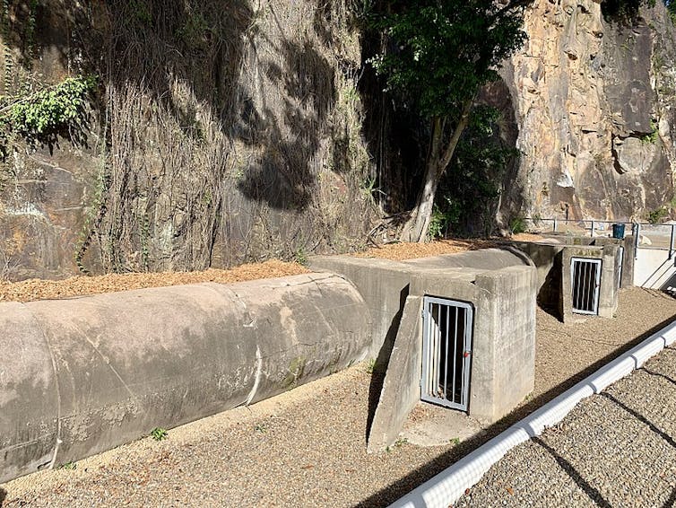 Entrances to air raid shelter at Howard Smith Wharves, Brisbane